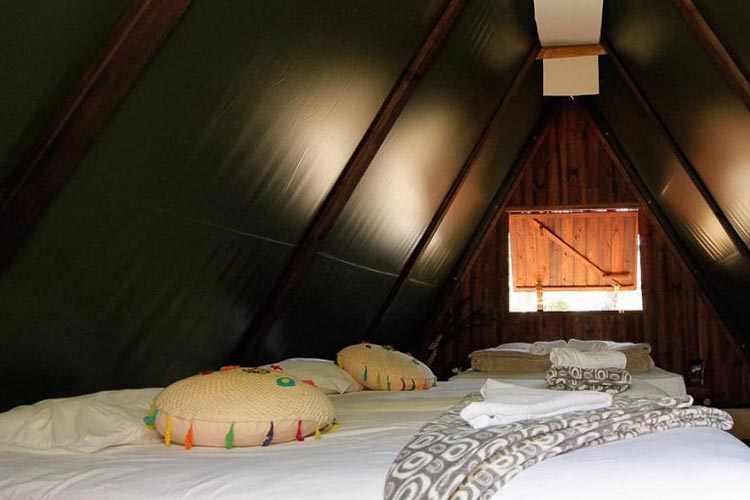 la-carpa-glamping-la-cepa-2