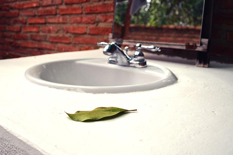 la-carpa-glamping-la-cepa-5